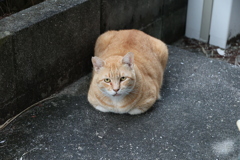 餌待ち♪