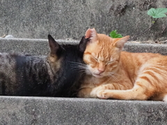 「仲良し♡」(続編）♪