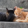 「仲良し♡」(続編）♪