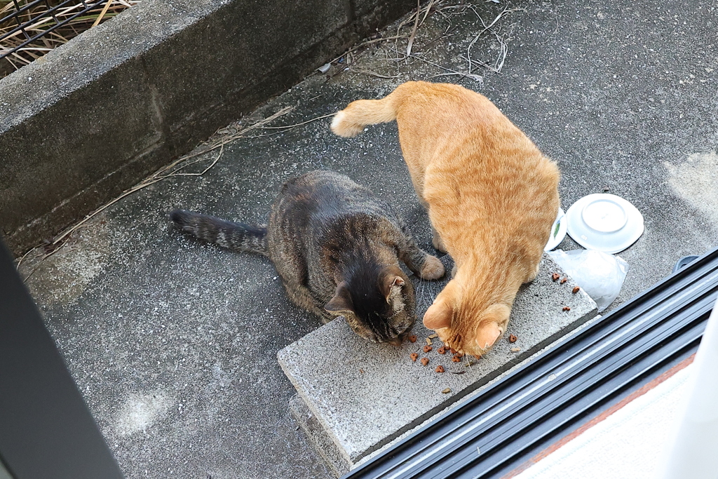 割り込み♪