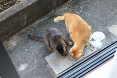 割り込み♪