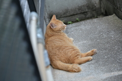 あとは、寝るだけ～