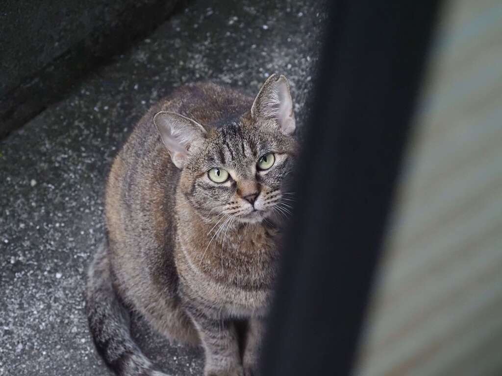 「待ってる、待ってる」（組み写真2）♪
