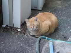 出て来た♪