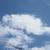 イマジネーション（ノミ雲）♪