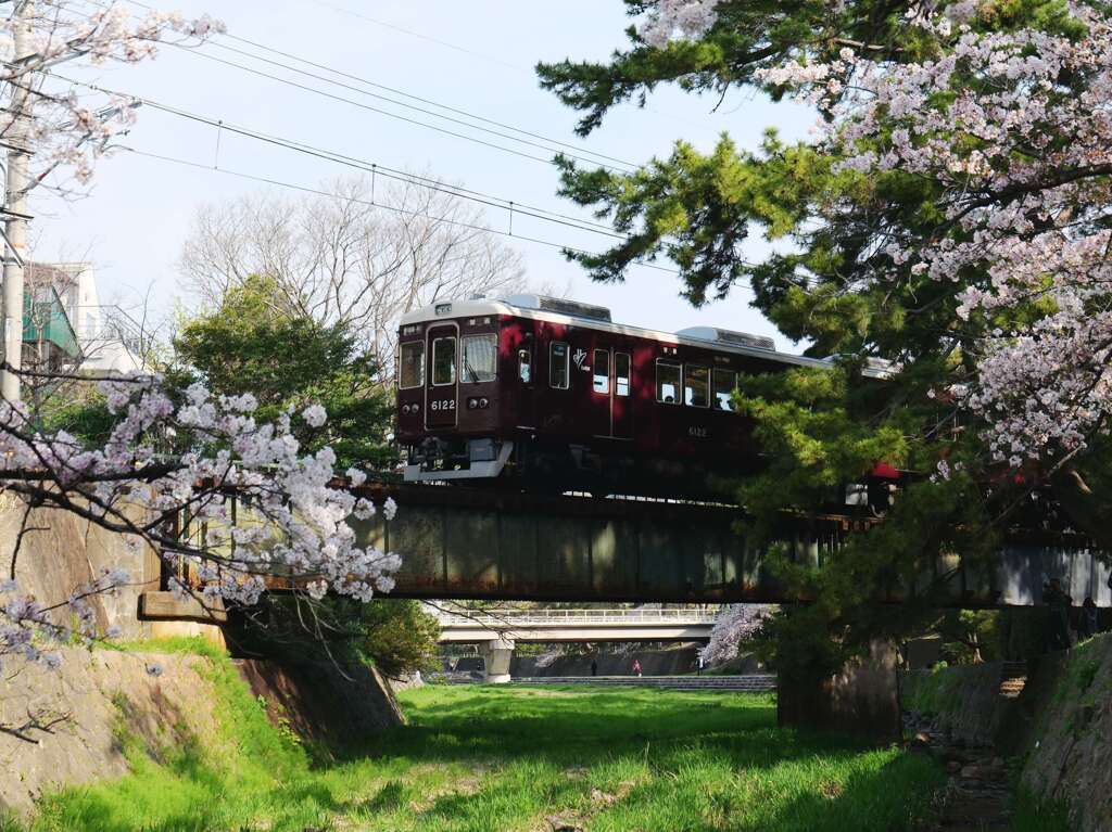 「上り電車」通過♪