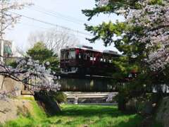 「上り電車」通過♪