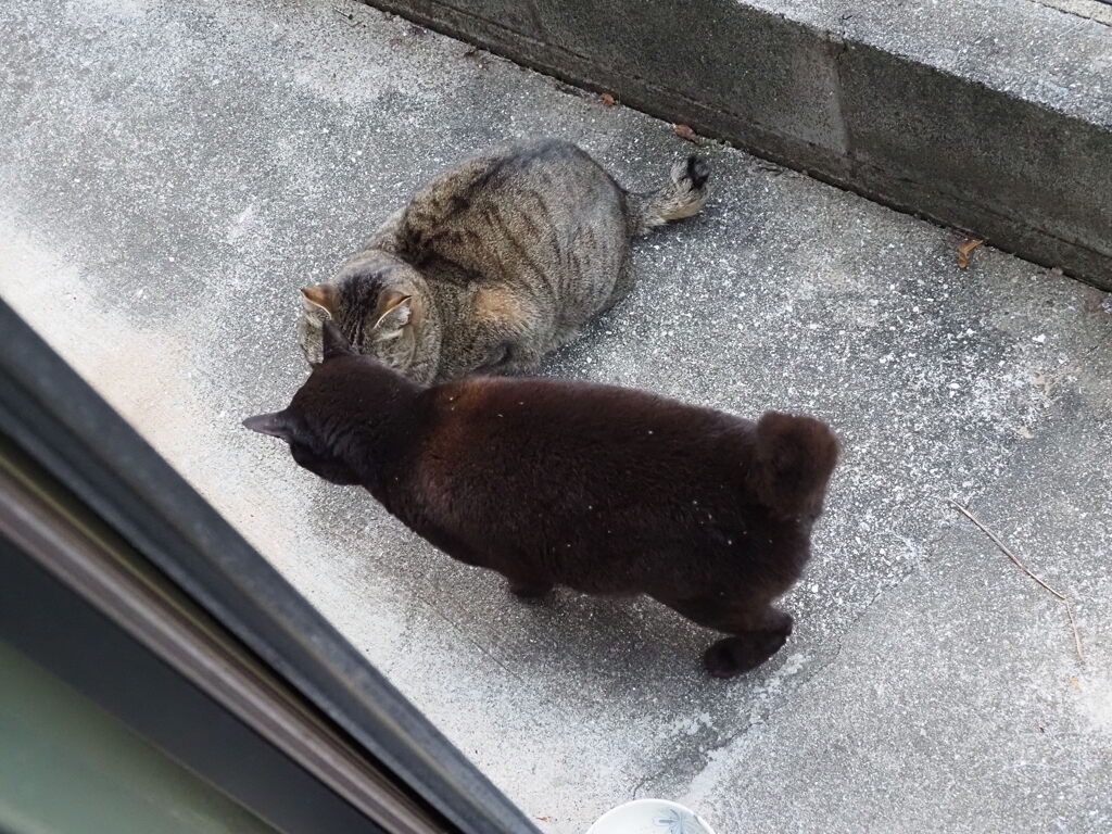 仲良くなりました♪