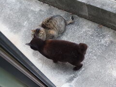 仲良くなりました♪