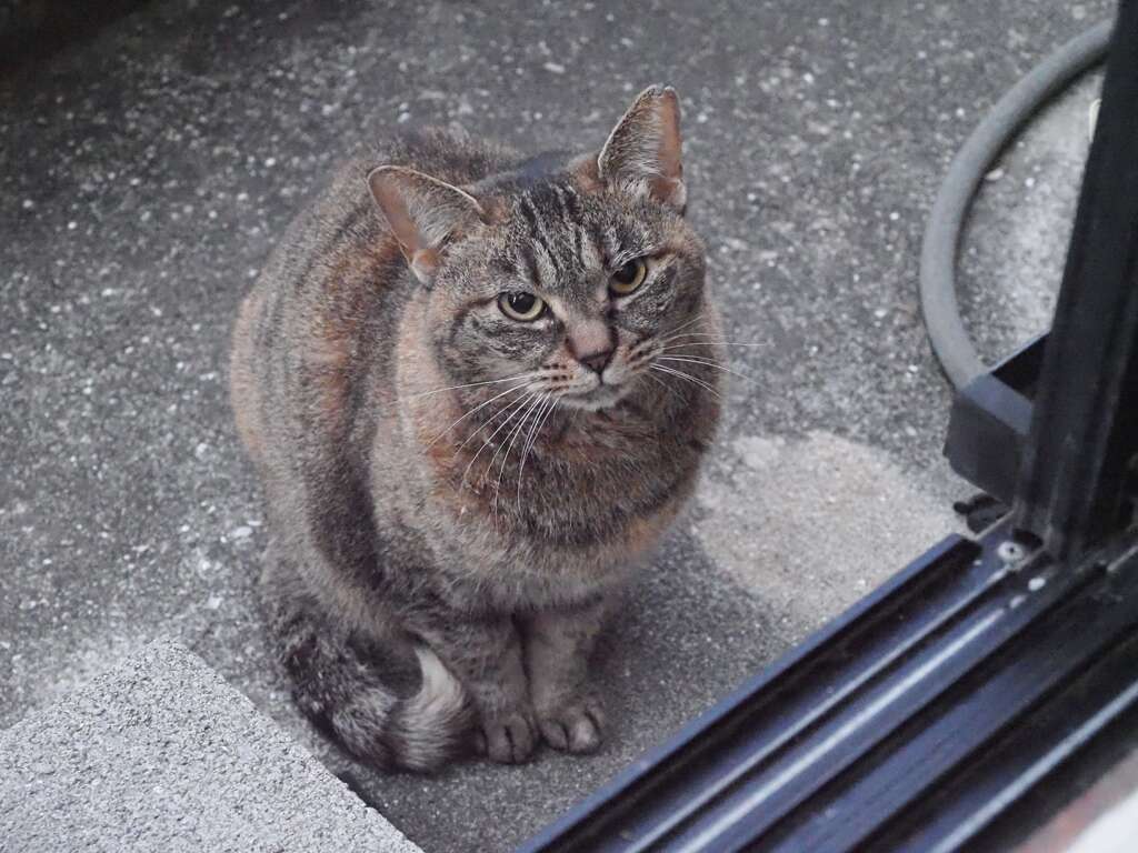 「外気温2℃」！