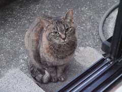 「外気温2℃」！