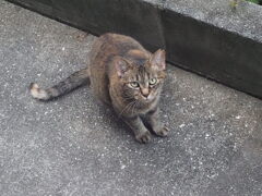 「隅っこ」♪