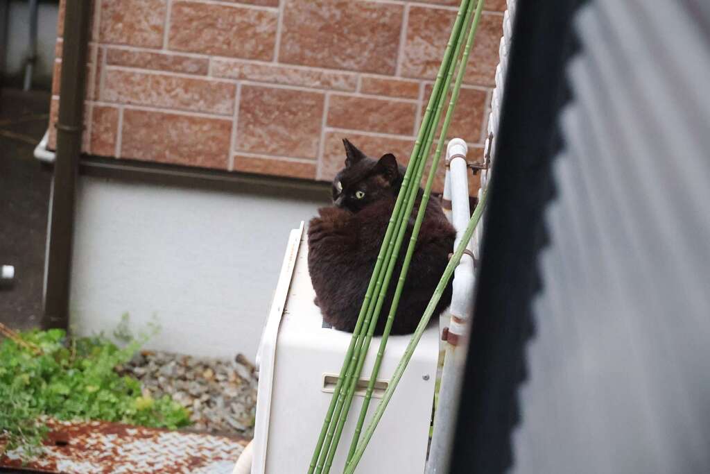 夕闇迫る♪