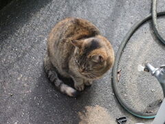 「寒さに負けねえぞ」（続編）♪