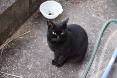 寒くないかい？