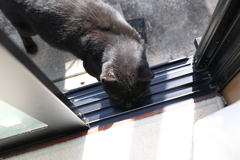 頭を入れ込む♪