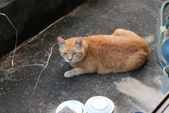 待ちくたびれた♪