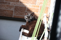気付いた♪