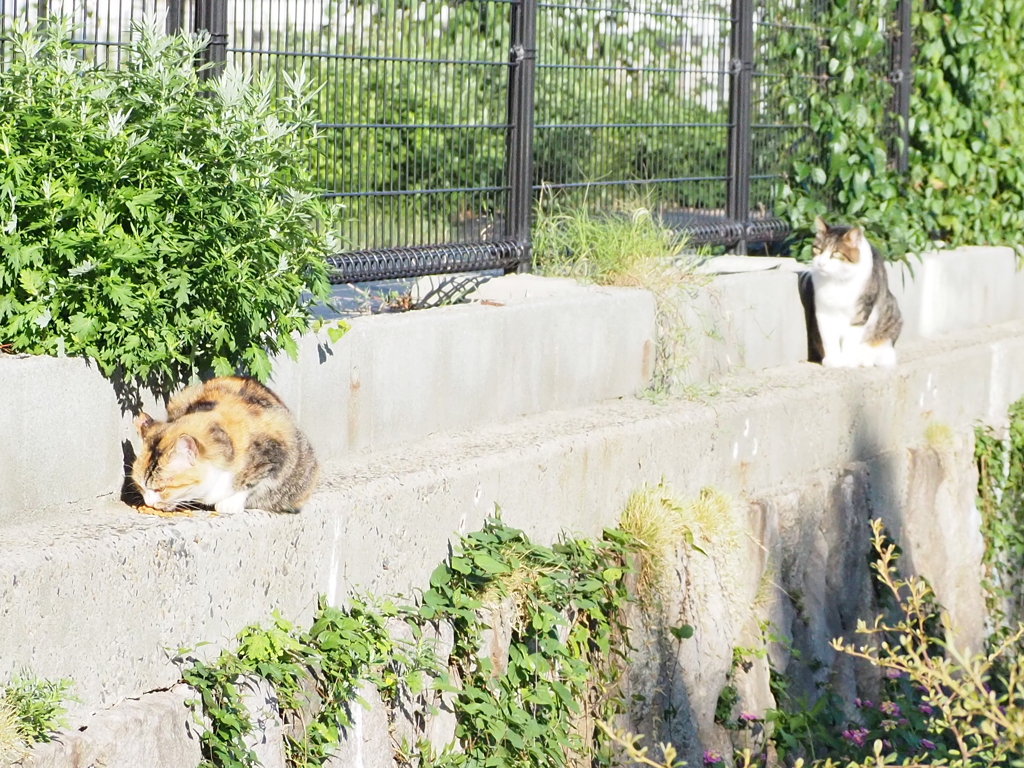 「2匹の関係」♪