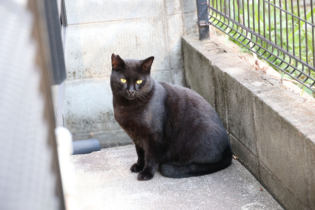 今日は、早い♪