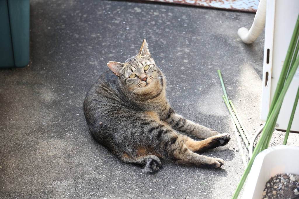 振り向いた♪