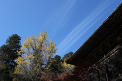 ヒコーキ雲♪