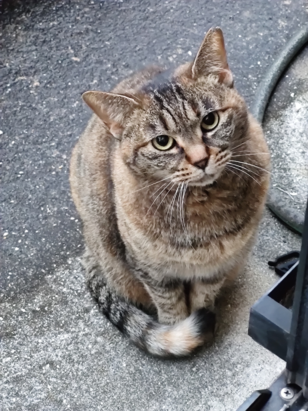 「雨おんな」♪