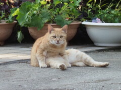 おじさん座り♪