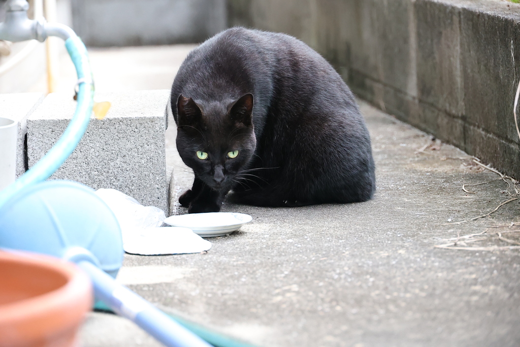 そこには、ないよ♪