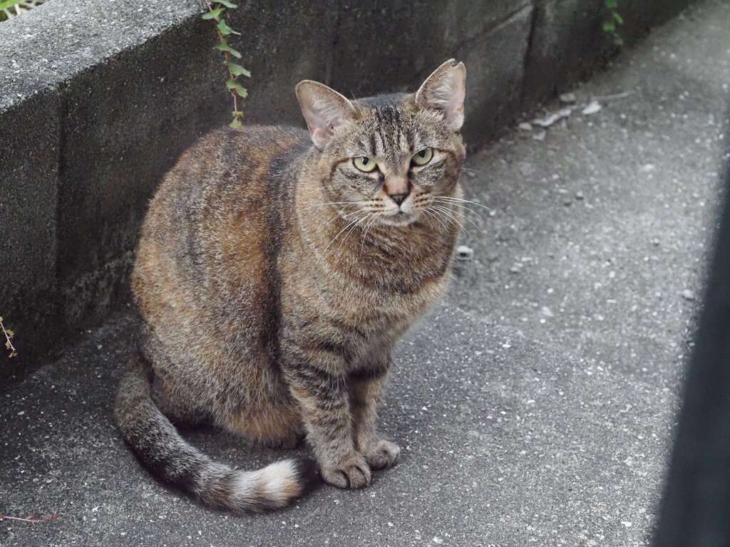 「今日も来ています」♪