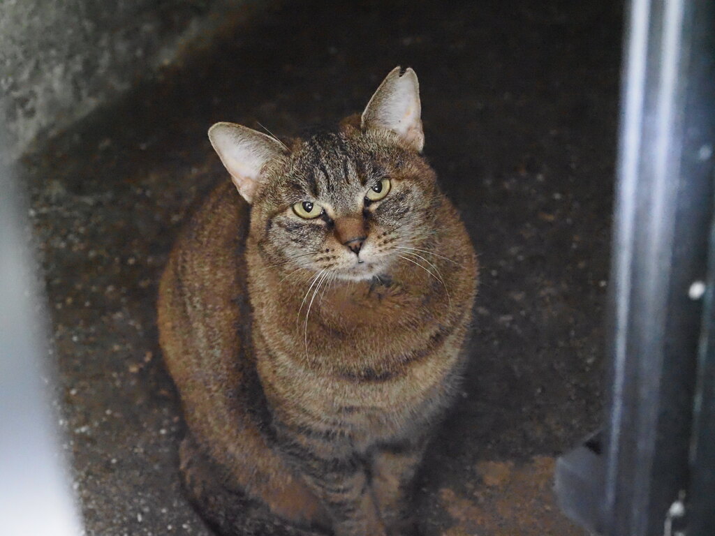 「まだ暗い」♪