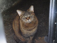 「まだ暗い」♪