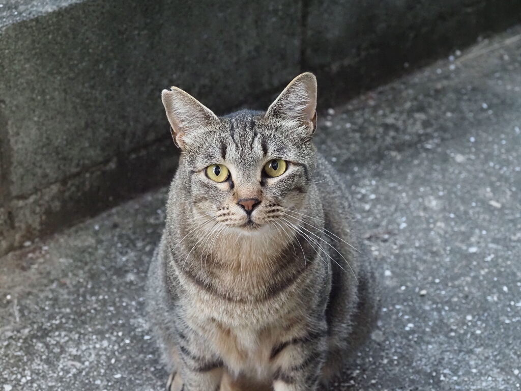 本日のお顔♪