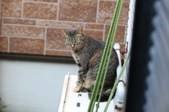 来てる来てる♪