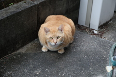 待ち構え♪