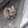 「段々、早くなる」♪
