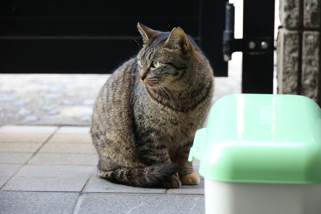 出掛ける前に♪
