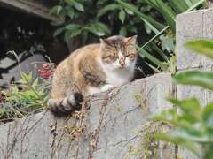 「高い所が好き」（続編）♪