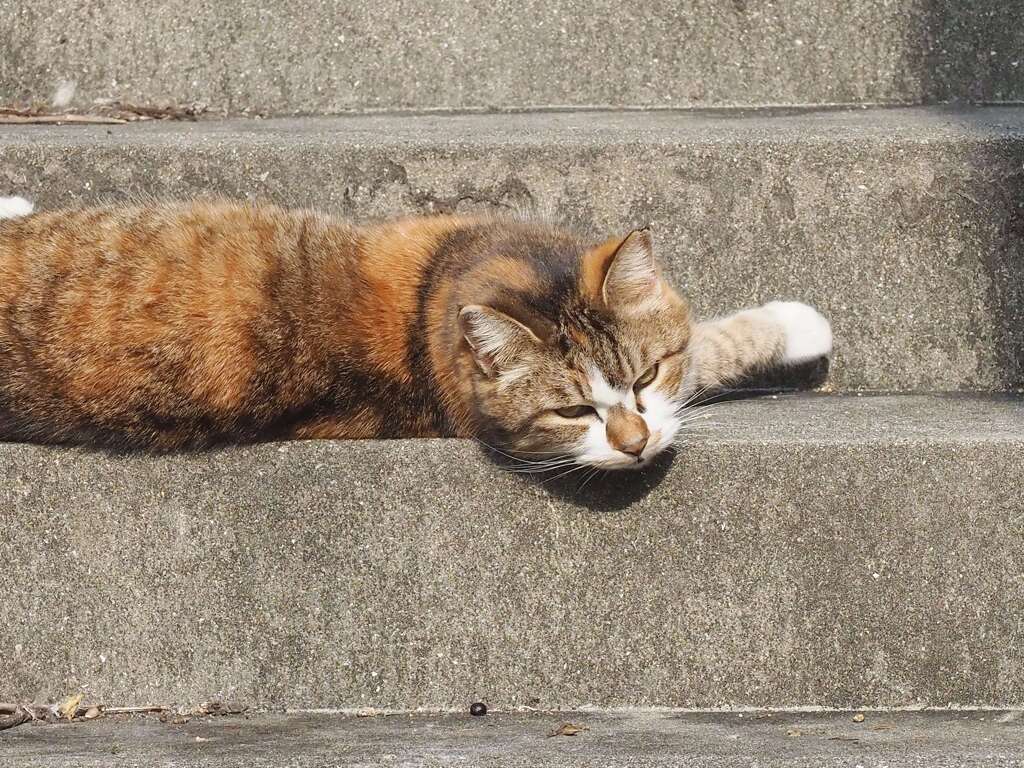 「文句あっか？」♪