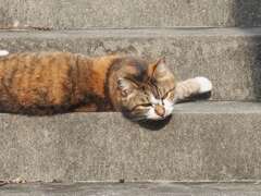 「文句あっか？」♪