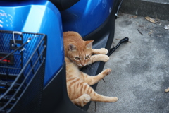 遊び場♪