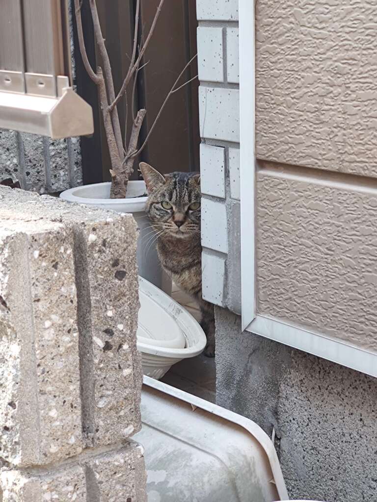 道すがら♪