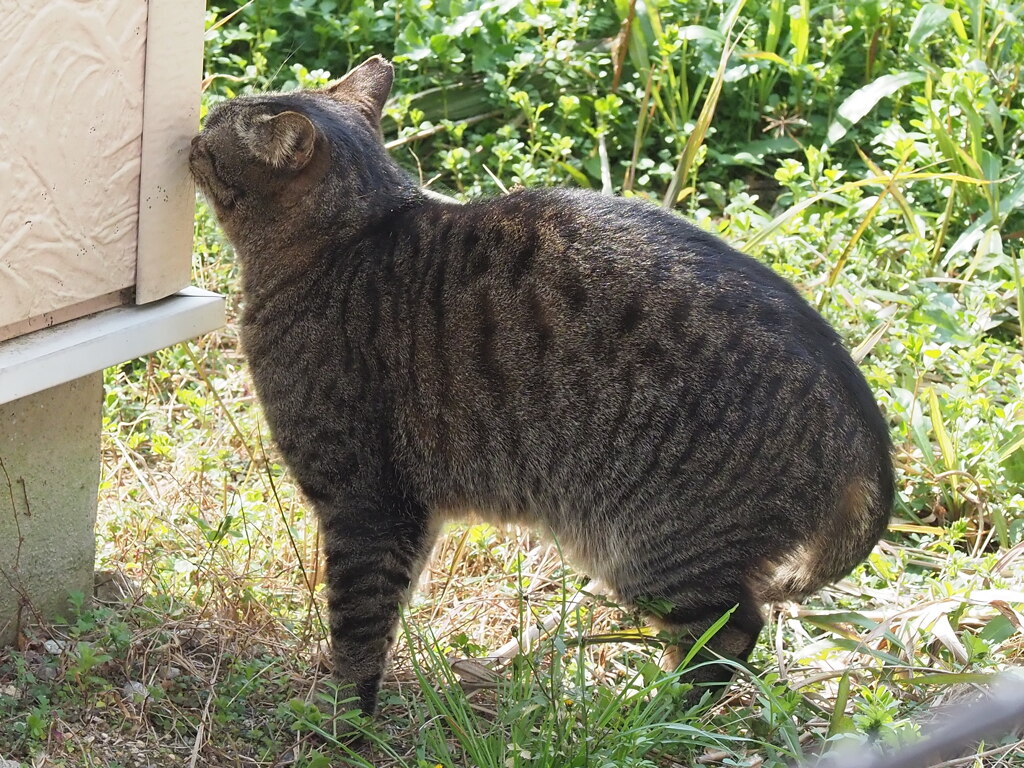 「スリスリ・タイム」♪