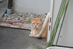 様子見♪