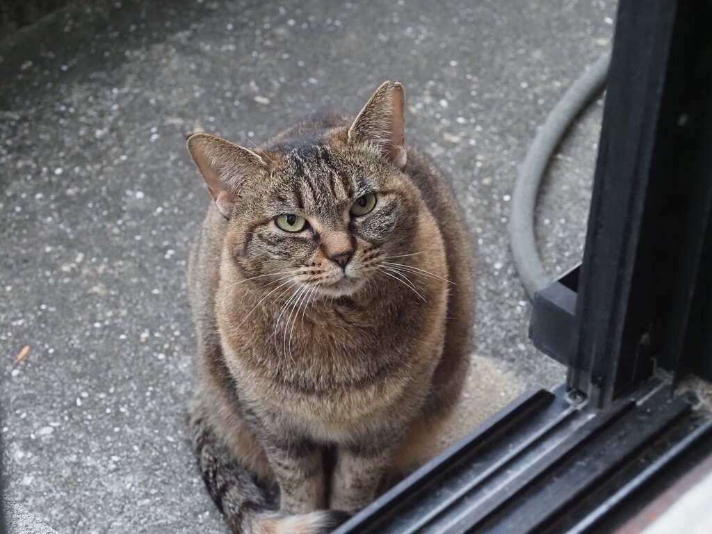 「寒波襲来！！」♪