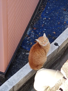 「新春2日目」（続編）♪