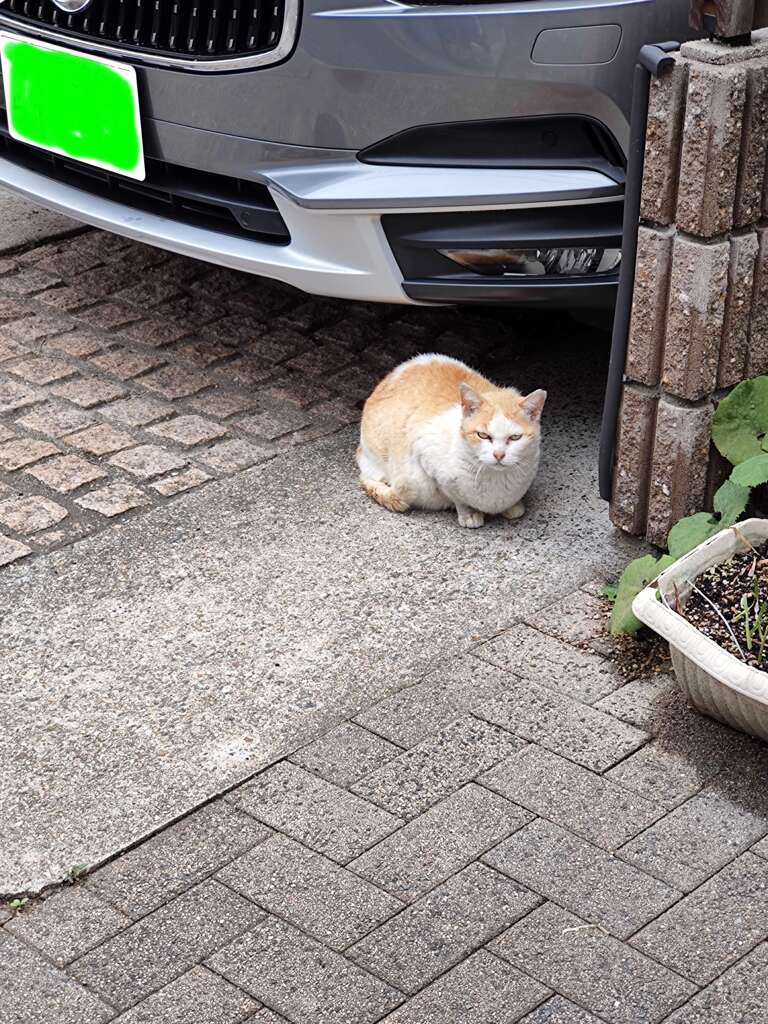 「道の途中で」♪