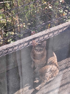 「ぐうたら座り」♪