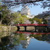 赤い橋♪