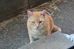 おかわり要求♪